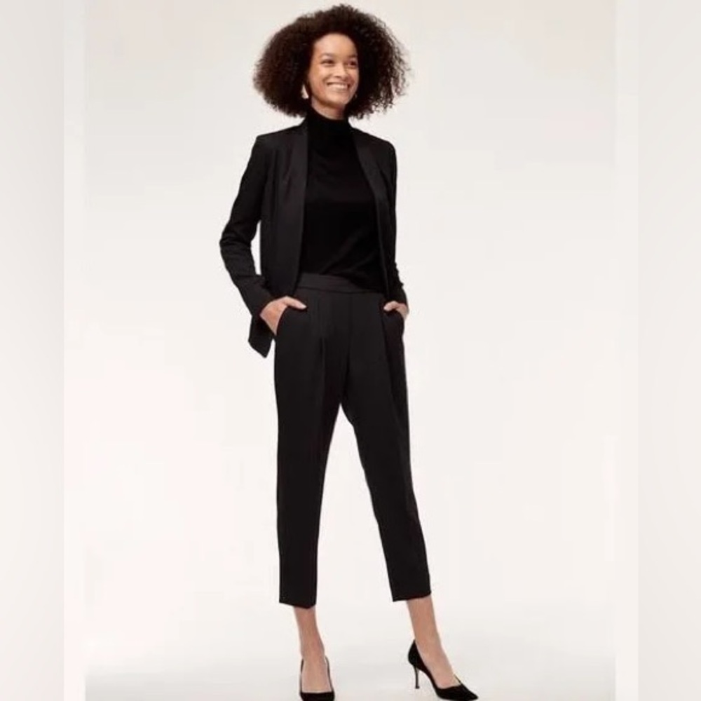 Aritzia Babaton Cohen Pleated Front Dress Pants, in black. Size 6.